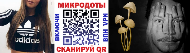 Галлюциногенные грибы Psilocybine cubensis  это официальный сайт  Козловка  где купить наркоту 